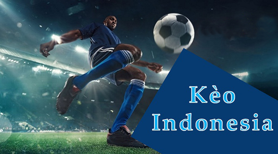 xo88 Tìm hiểu chi tiết nhất tỷ lệ kèo indonesia là gì? Cách cược kèo indo hay nhất
