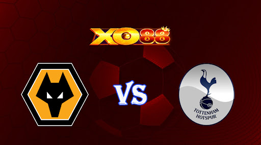 xo88 Nhận định soi kèo Wolves vs Tottenham 22h00 ngày 04/03/2023 Ngoại Hạng Anh