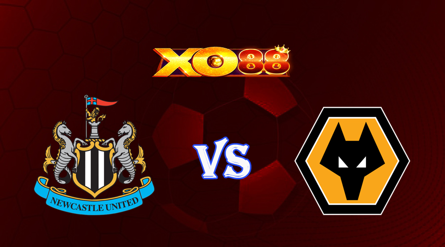 xo88 Nhận định soi kèo Newcastle vs Wolves 22h30 ngày 12/03/2023 Ngoại Hạng Anh
